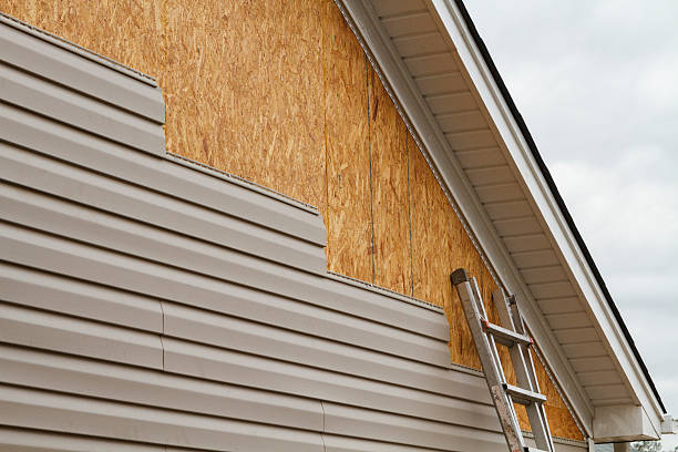 Professional Siding Repair technician working in Brownsville, FL